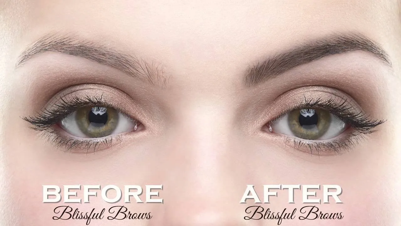 Blissful Brows by Hairgenics – One Step Long Lasting Tinted Eyebrow Gel Infused with Fibers for Thick and Full Brows (Black)