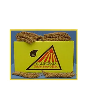 California Golden Millet