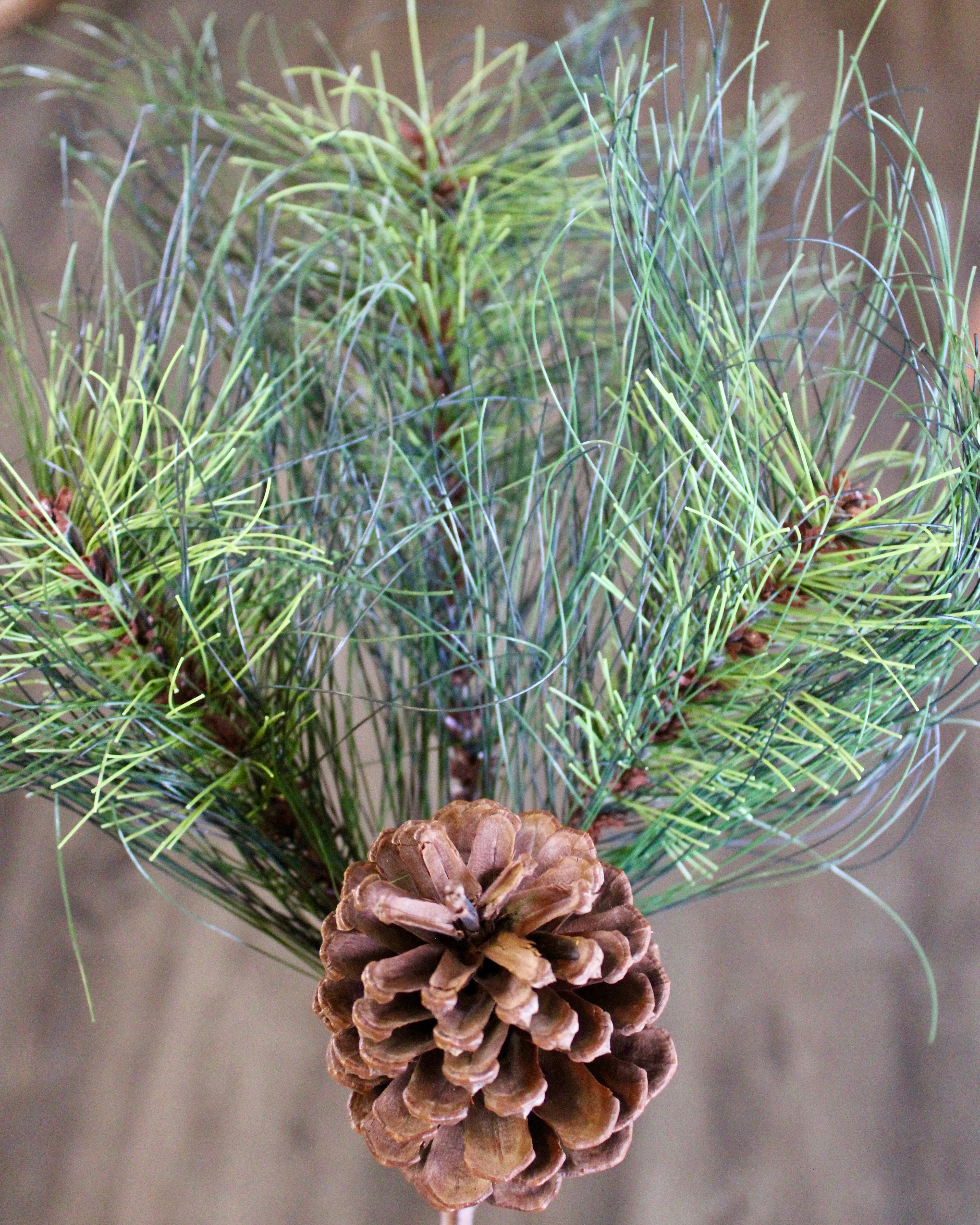 Sequoia Pine Spray